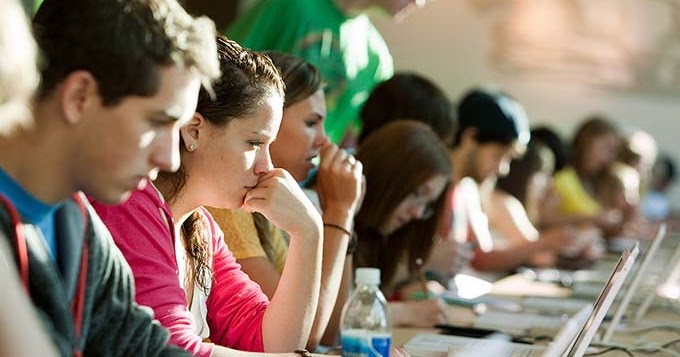 Professional essay the best