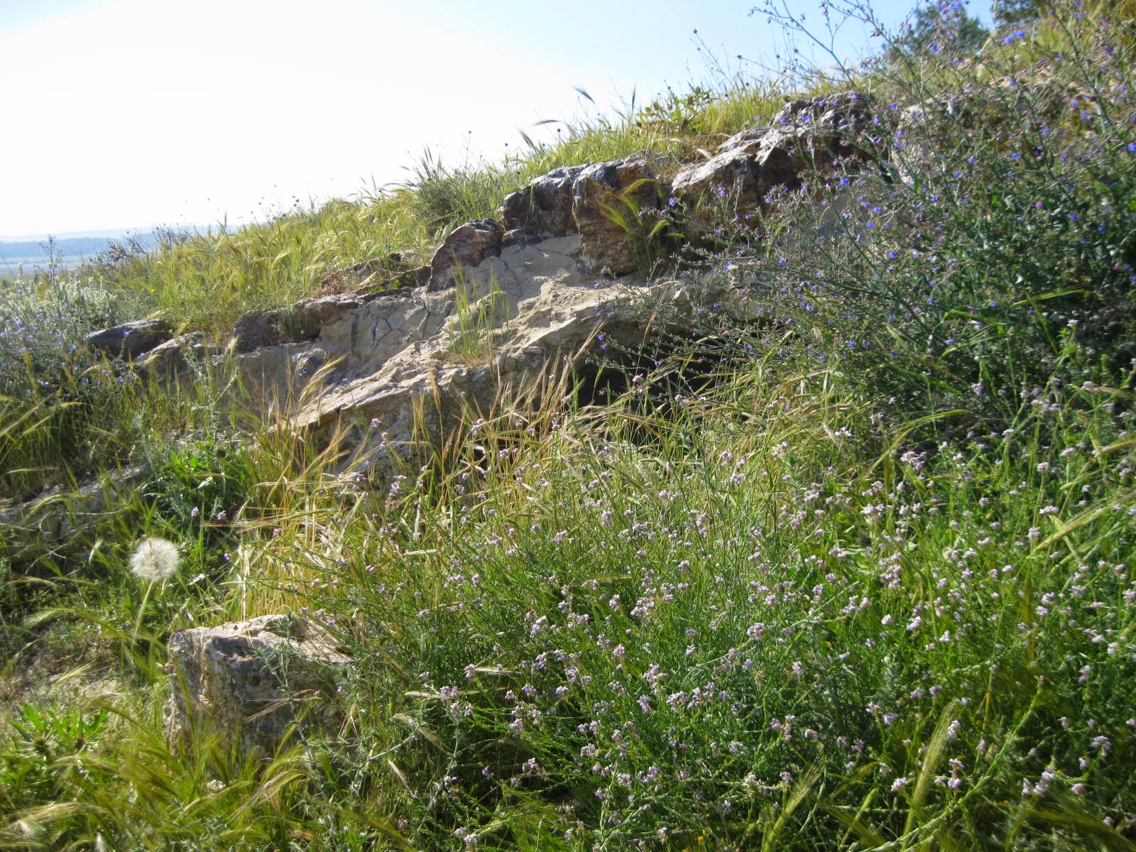Jerusalem Hills daily photo: An open cave