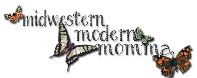 Midwestern Modern Momma