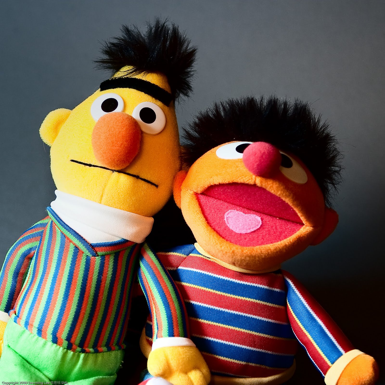 gay bert and ernie family guy gay bert and ernie family guy