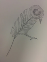 bird feather feathers fine silhouette birds carla taylor illustration peacock jay filled pencil