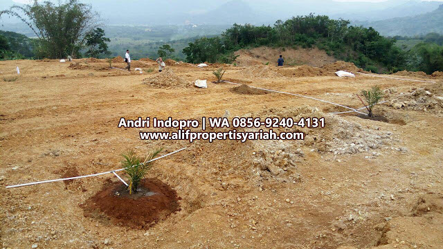 TANAH-DIJUAL-MURAH-DI-BOGOR-BISA-KREDIT-SYARIAH-KAMPUNG-KURMA-TANJUNGSARI TANAH-DIJUAL-MURAH-DI-BOGOR-BISA-KREDIT-SYARIAH-KAMPUNG-KURMA-TANJUNGSARI