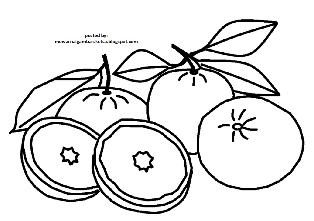 88 Gambar Sketsa Alam Benda Buah Paling Hist 88 Gambar Sketsa Alam Benda Buah Paling Hist