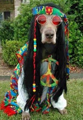 Halloween Peace Hippie Dog Costume