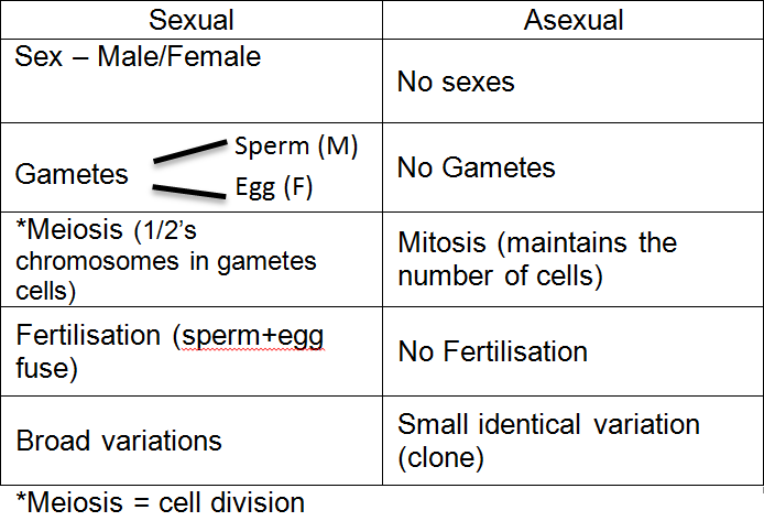 Seb Biology 3 1 Sexual And Asexual Reproduction
