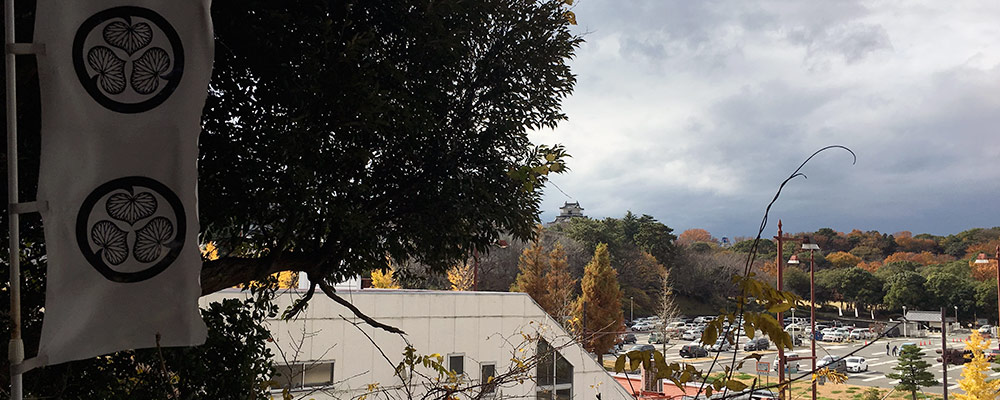 元城町東照宮境内から浜松城公園駐車場を越えて浜松城天守を望む、曳馬古城を取り込む形で浜松城は大きく拡張されたのが分かる(2015年12月12日撮影)