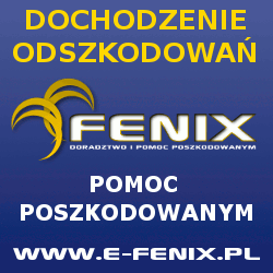 Fenix - dochodzenie odszkodowań