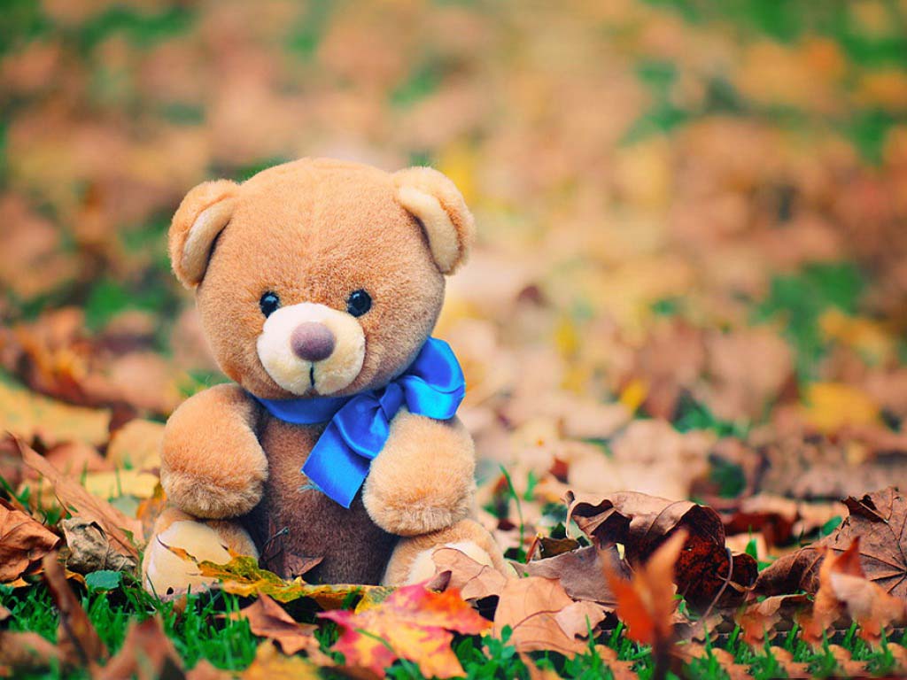 Teddy Bear Wallpaper HD 4K for PC - Download Cool Pictures Wallpaper HD