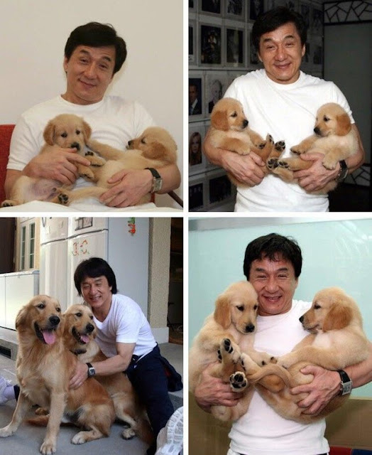 blessing you all with some jackie chan and doggies blessing you all with some jackie chan and doggies