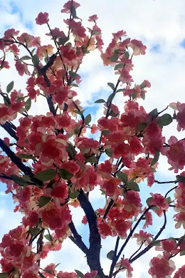 Cherry blossom at Broadgate Circus, Yauatcha City - London restaurant blog