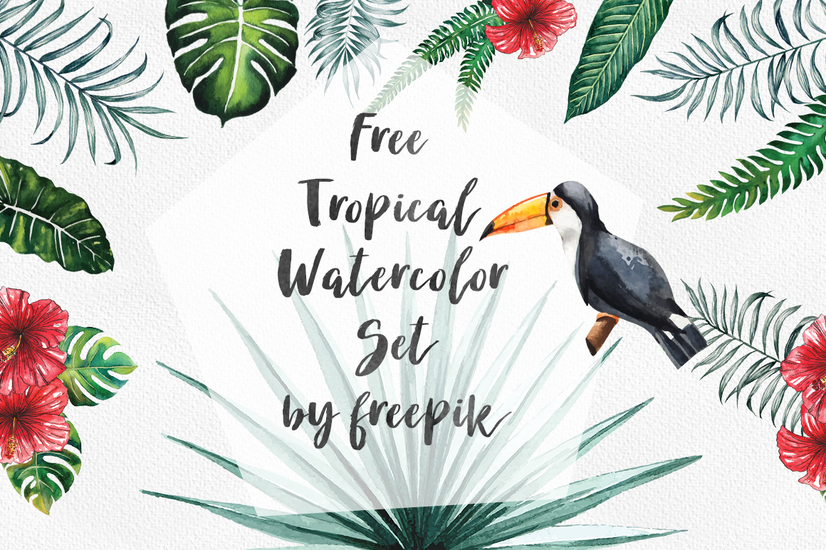 dlolleys help free tropical