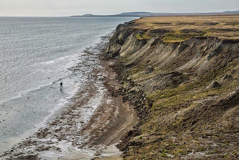 Extraction of Mammoth tusks in Siberia