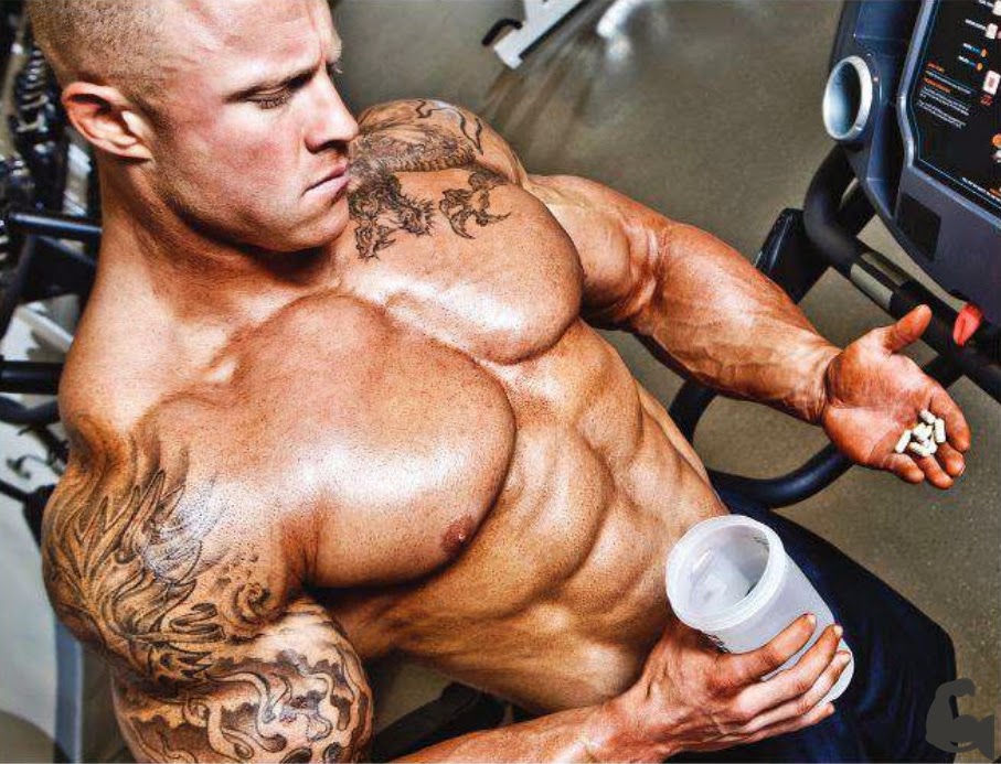 O que é o bodybuilding O que é o bodybuilding