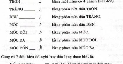 Bài 3  Độ dài Trường độ  Luyện thi âm nhạc