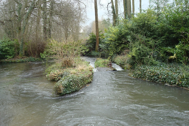 Mottisfont Abbey and grounds