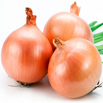 CEBOLLA