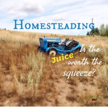 Homesteading: Is the Juice Worth the Squeeze, shared by Livin Lovin Farmin at The Chicken Chick's Clever Chicks Blog Hop Homesteading: Is the Juice Worth the Squeeze, shared by Livin Lovin Farmin at The Chicken Chick's Clever Chicks Blog Hop