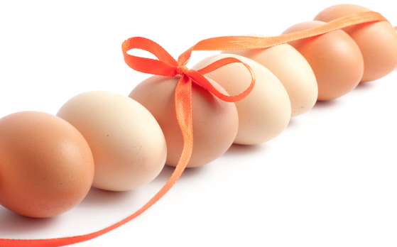 Egg donor asian indian