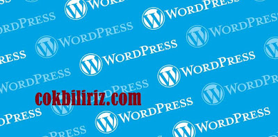WordPress Teması Değişince Trafik Etkilenir Mi?