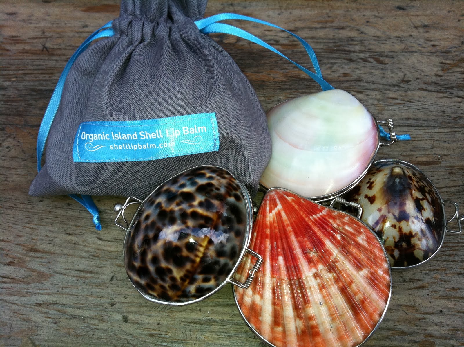 Shell Lip Balm UK Shell Lip Balm Launches in the UK!