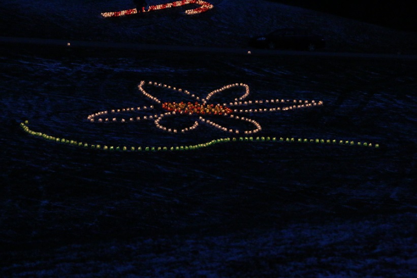 Michigan Exposures Hidden Lake Gardens Holiday Lights