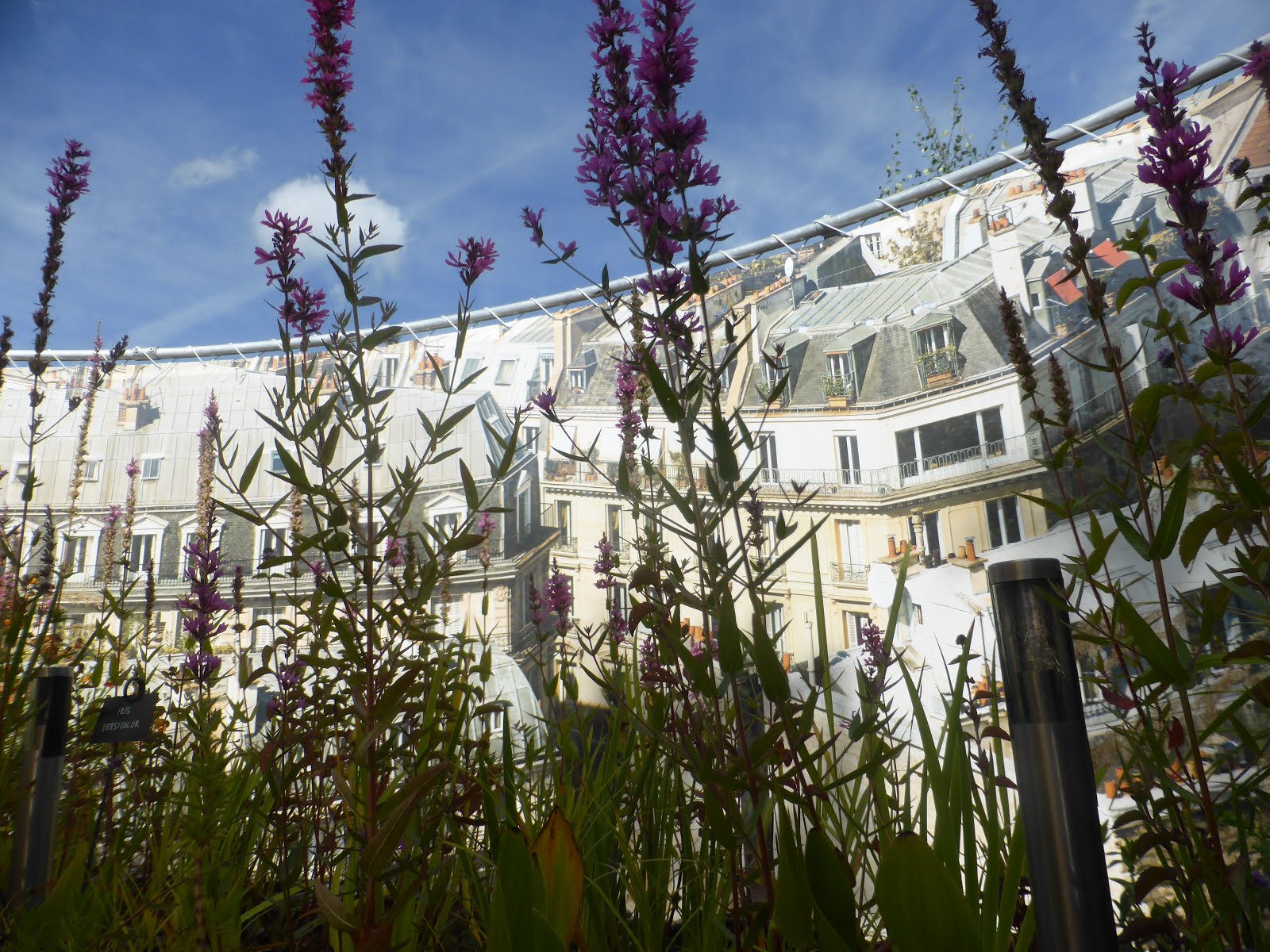 Experience Loire Loire Valley France tourism Chaumont International