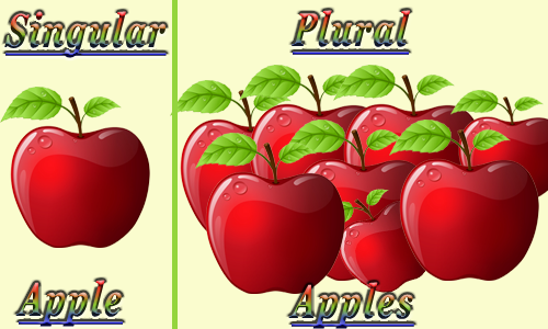 singular and plural noun singular and plural noun