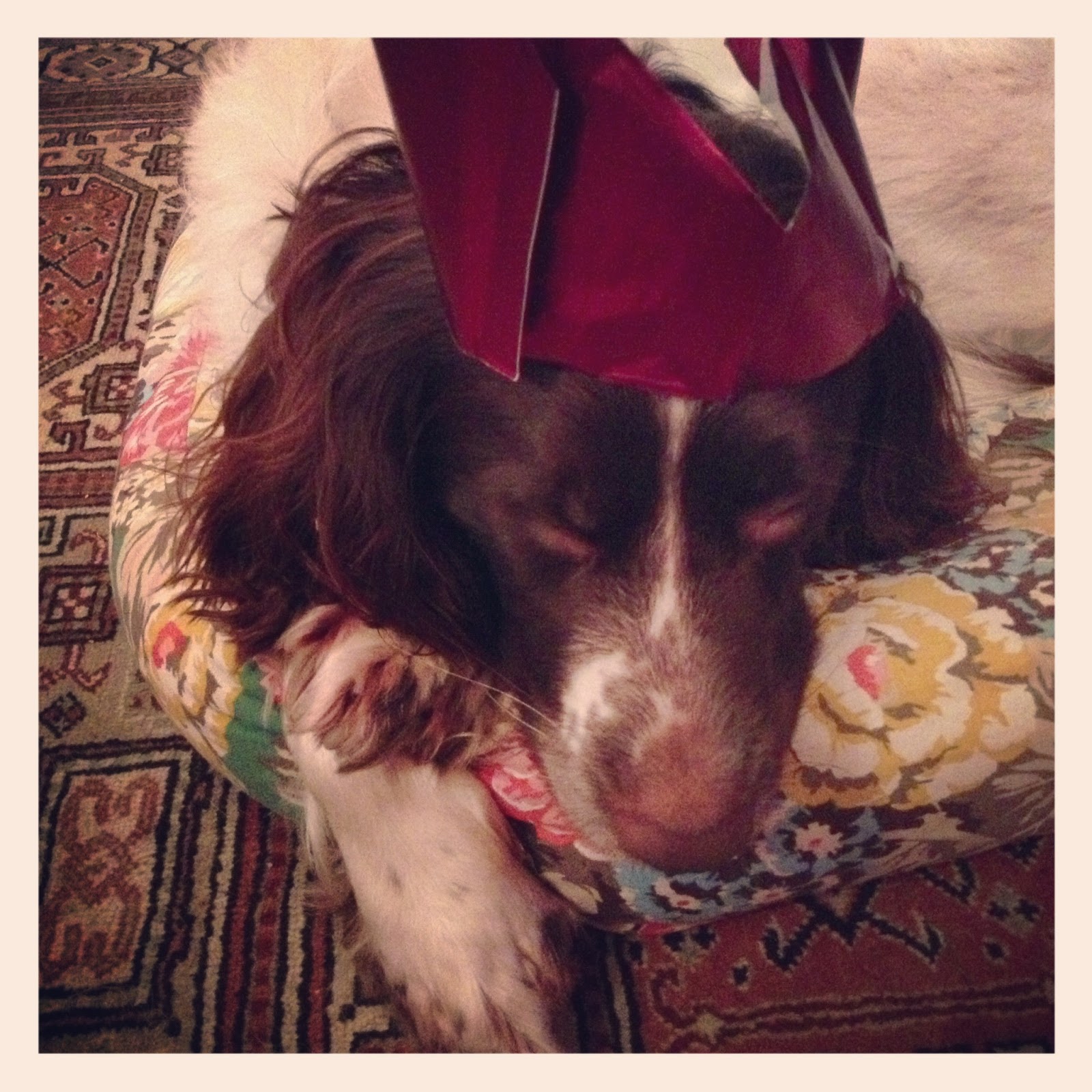 Yecats Wolliw: Evening drawing