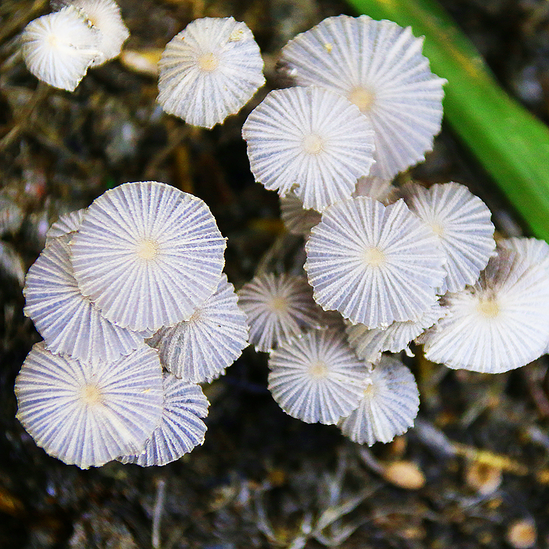 Veterinary, Photography and Travel Stories for vet students and pet