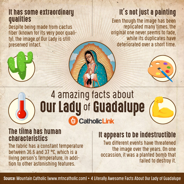 4 amazing facts about Our Lady of Guadalupe Go to Mary Blog