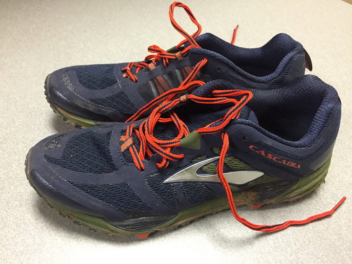 brooks cascadia 9s