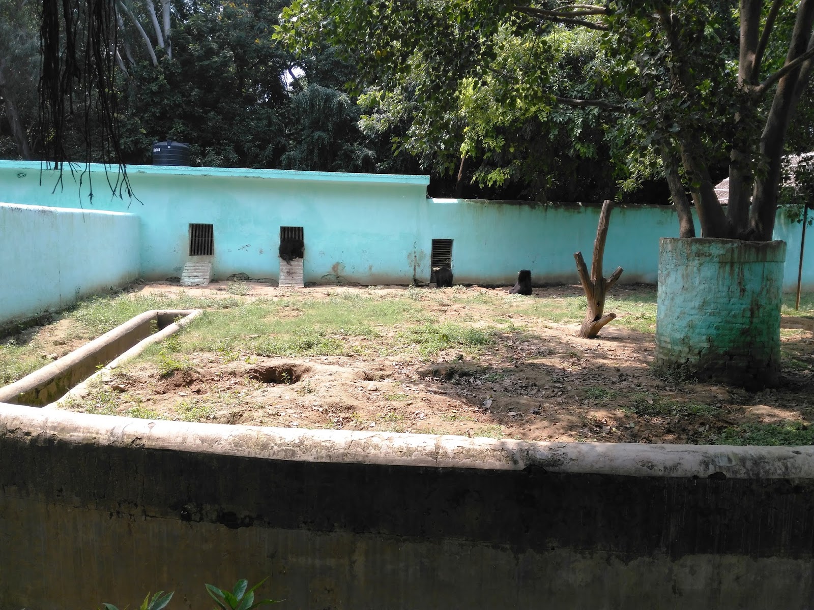 sanjay gandhi jaivik udyan patna Bihar IMAGES, GIF, ANIMATED GIF, WALLPAPER, STICKER FOR WHATSAPP & FACEBOOK