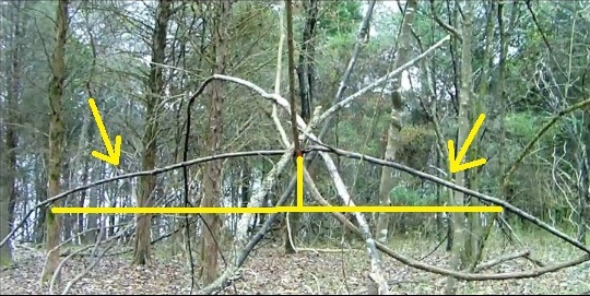 Trees Structures Stick The Bigfoot Field Journal: Stick Structures - What Are They and What Do ...