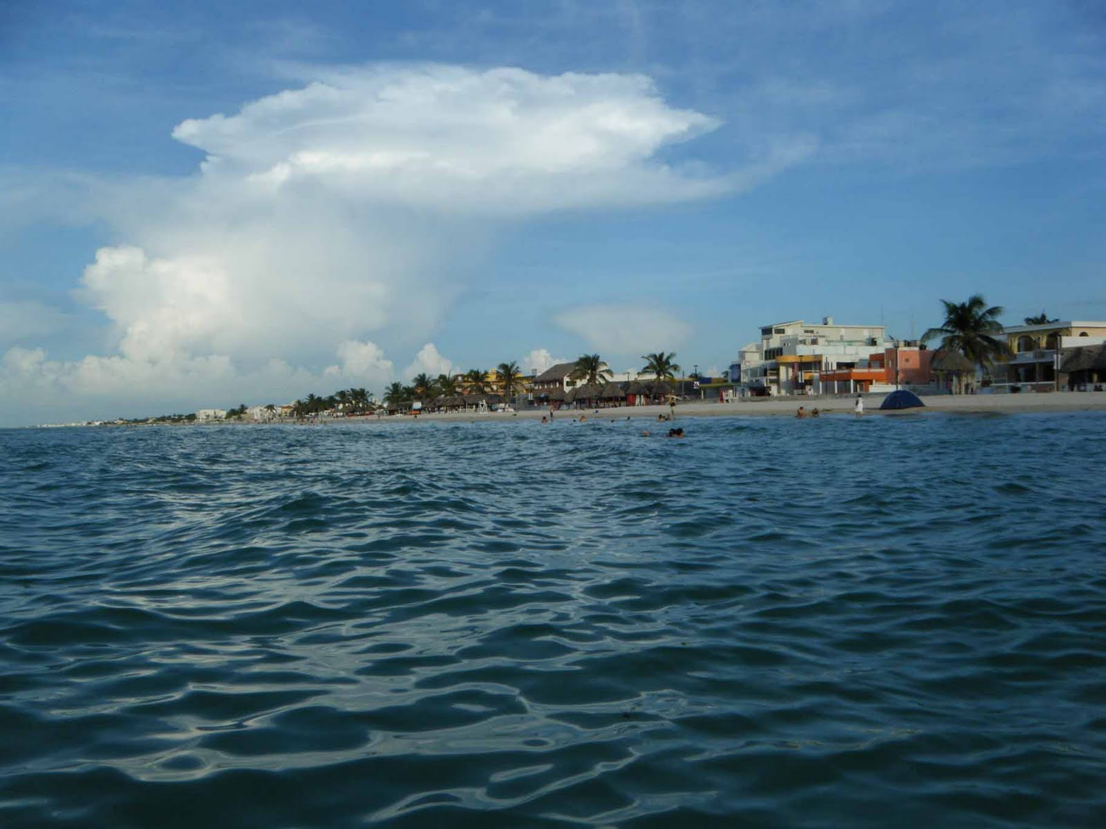 Eric & Autumn's World Roll Up Progreso, Beach Time Estilo Mexicano