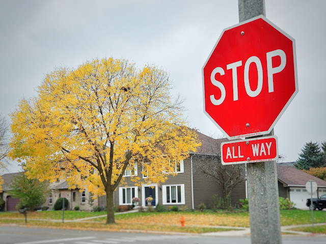 stop sign ahead of a beautiful yellow tree in the fall season stop sign ahead of a beautiful yellow tree in the fall season