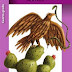 Historia Cuarto Grado Libro de Texto SEP (2013-2014)