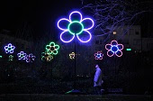 Festival delle luci 