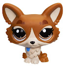 Littlest Pet Shop Singles Corgi (#3567) Pet