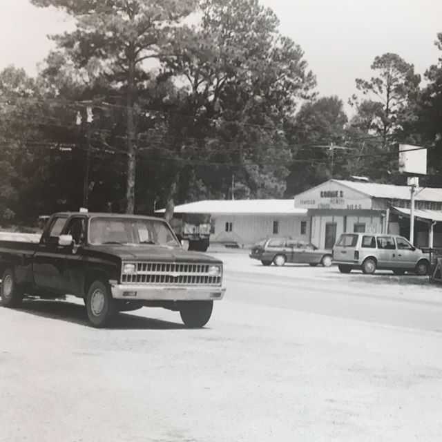 Greig Roselli — Teacher, Writer, Philosophy Sprinkles Maker Photograph