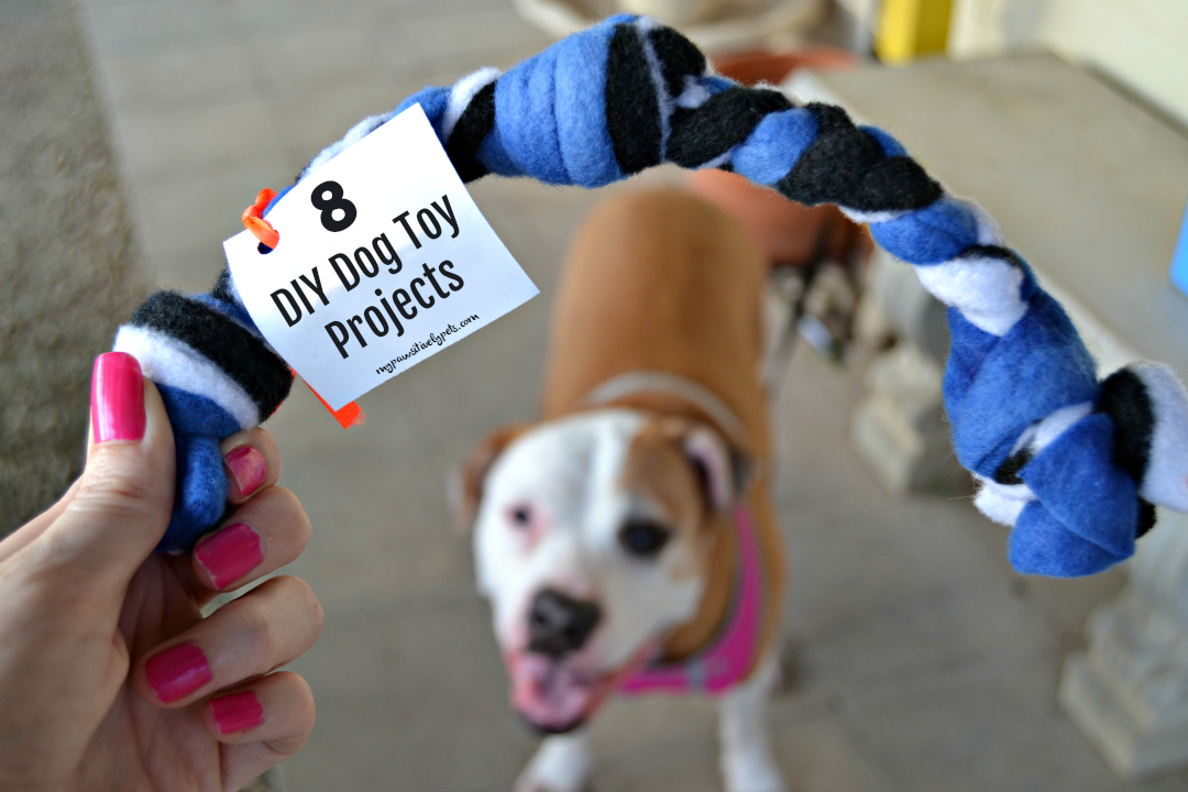 8 DIY Dog Toy Projects to Keep Your Dog Busy This Summer