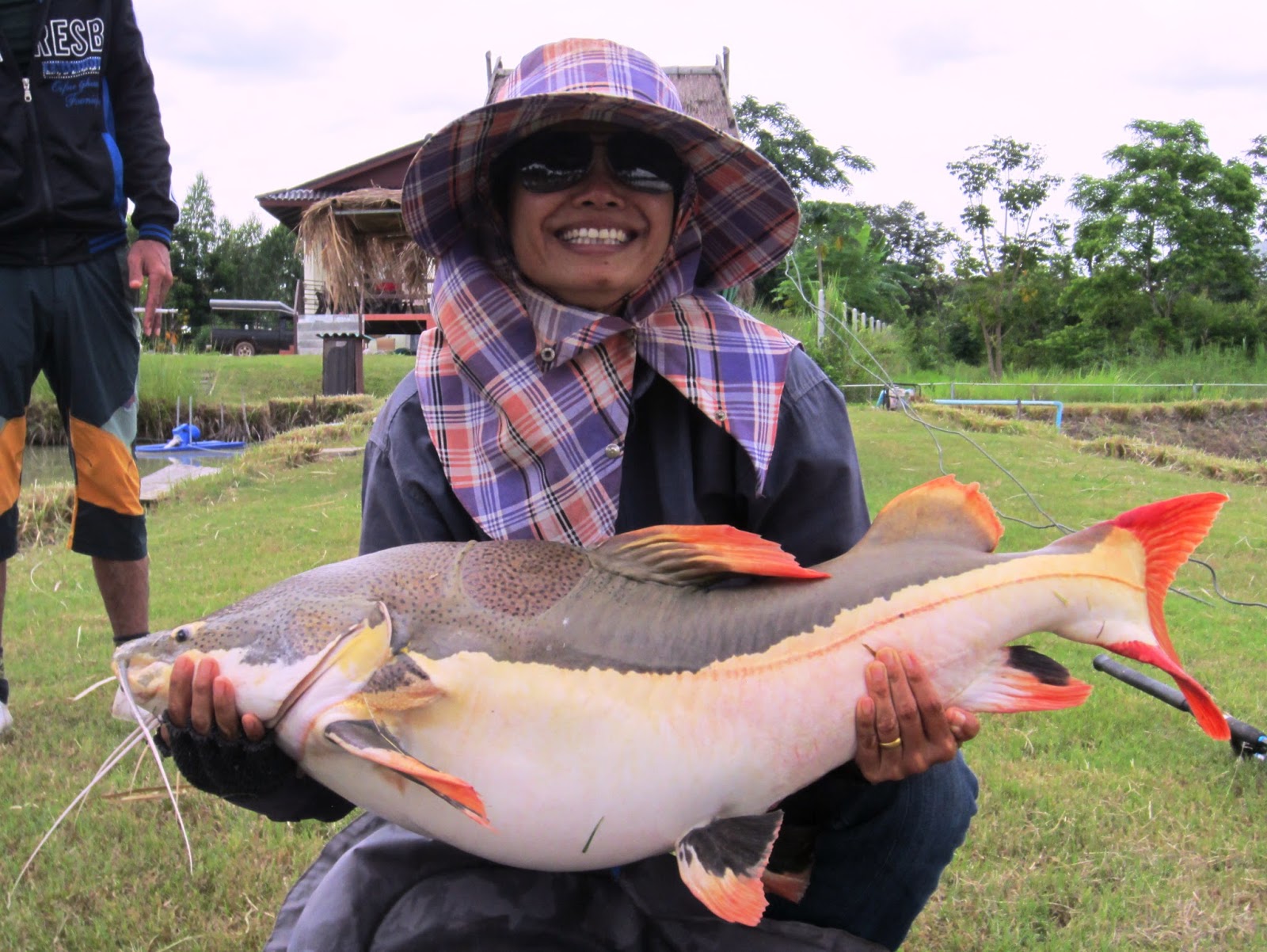 siamese carp fishing lakes thailand fishing for Amazon redtail catfish