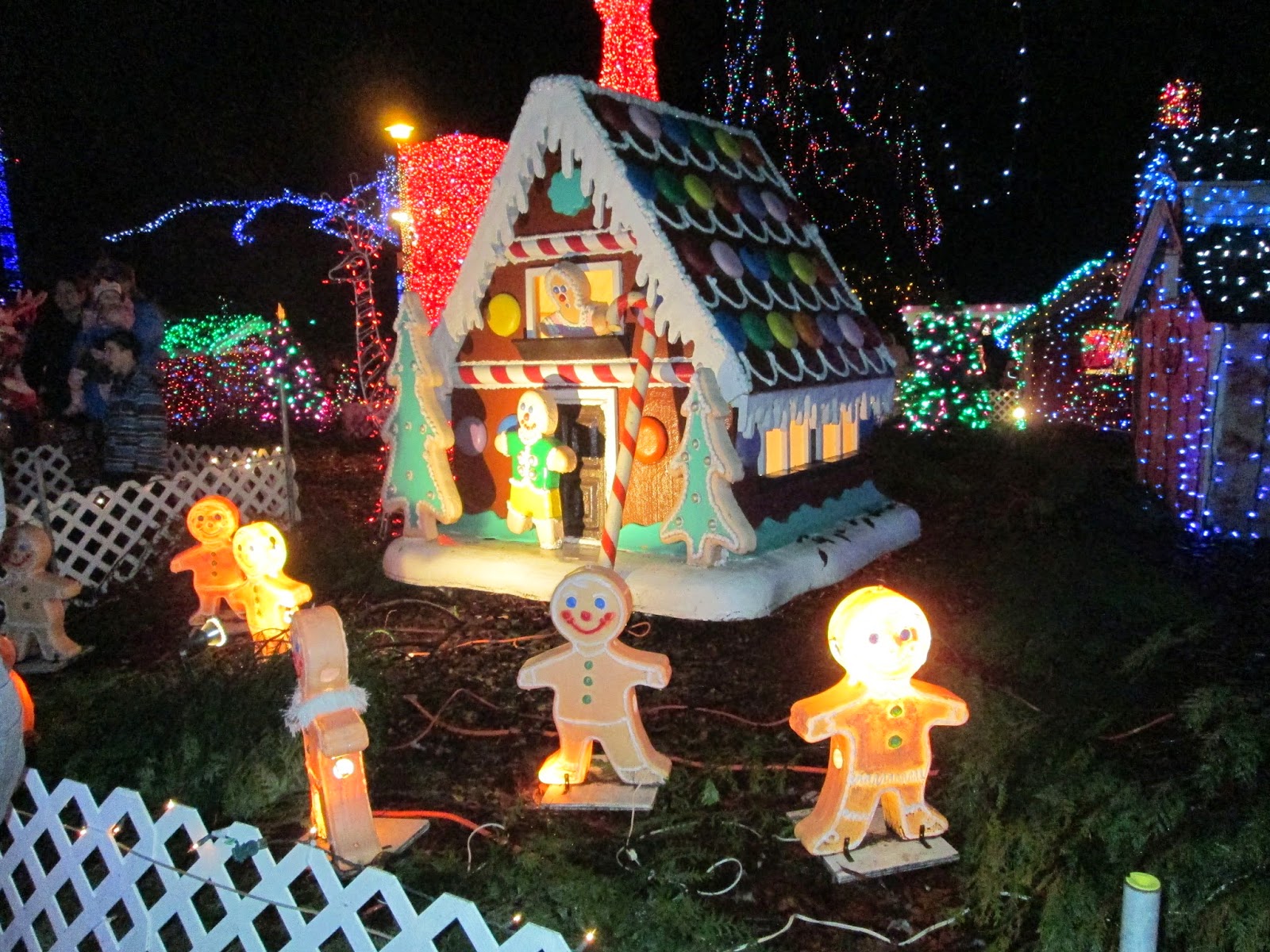 Happy Tiler Christmas Baking, Lights and some Action