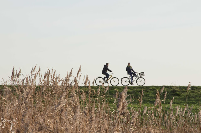 two cyclists on the dike
