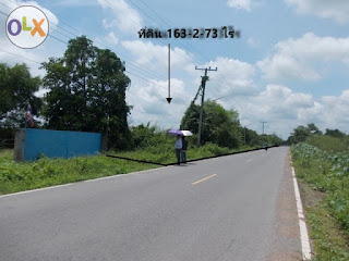 ที่ดิน ราคาถูก