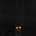 Can a cat see in pitch black?