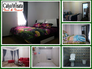 Homestay Dieng homestay dieng