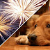 Nossos animais e os fogos de artifício na virada do ano!