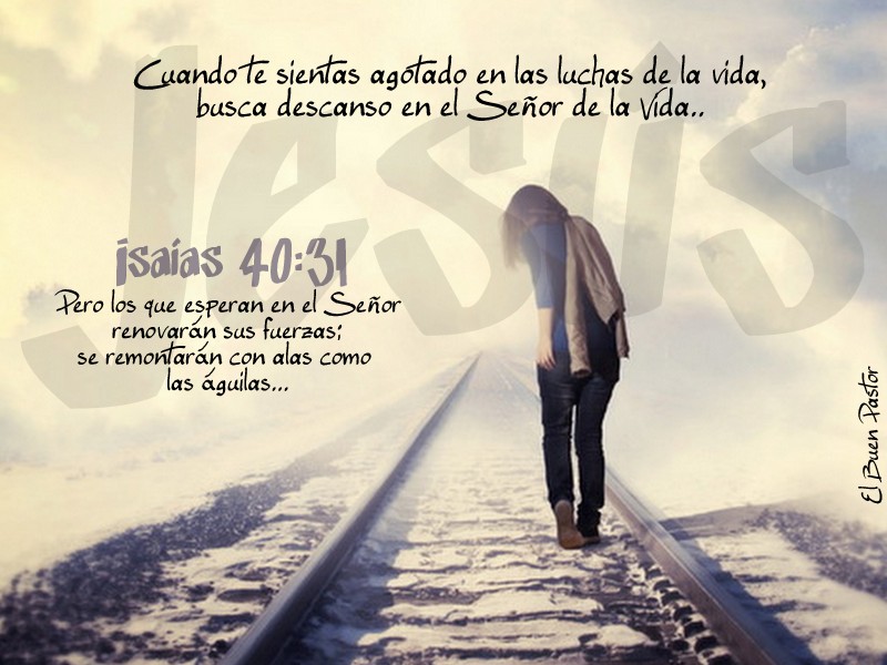 YO SOY EL BUEN PASTOR Isaías 4031 YO SOY EL BUEN PASTOR Isaías 4031