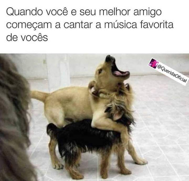 Memes engraçados Memes engraçados