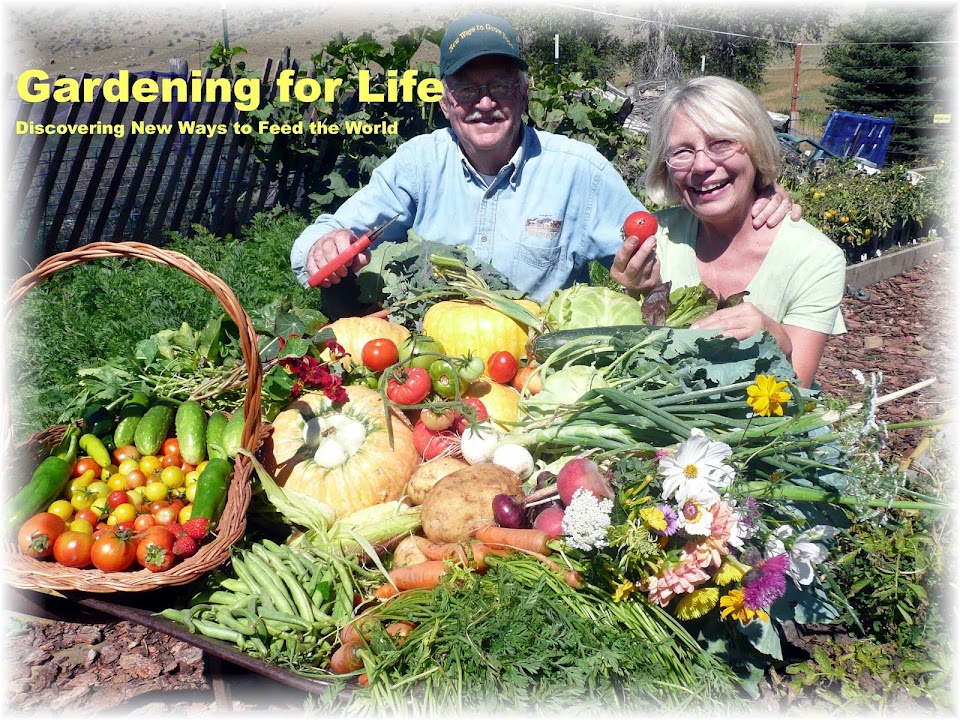 Gardening for Life - Discovering New Ways To Feed The World